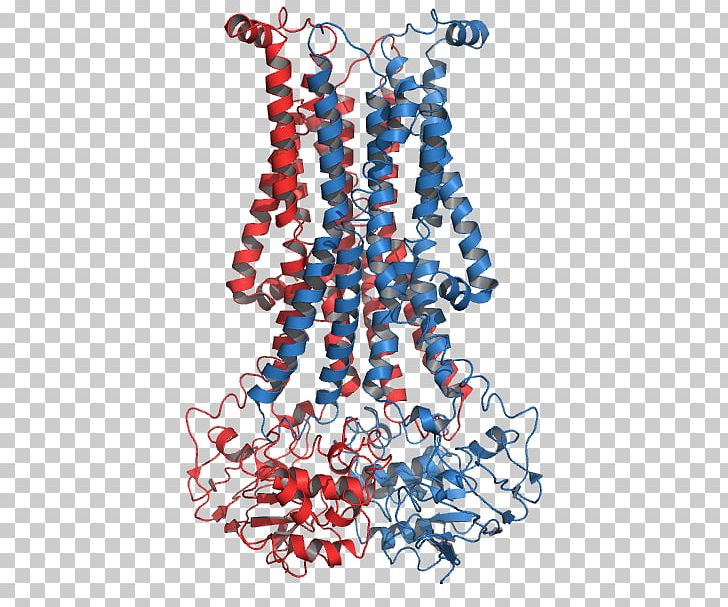 Flippase Phospholipid ATPase Transmembrane Protein Biological Membrane PNG, Clipart, Abc, Adenosine Triphosphate, Area, Atp, Atpase Free PNG Download