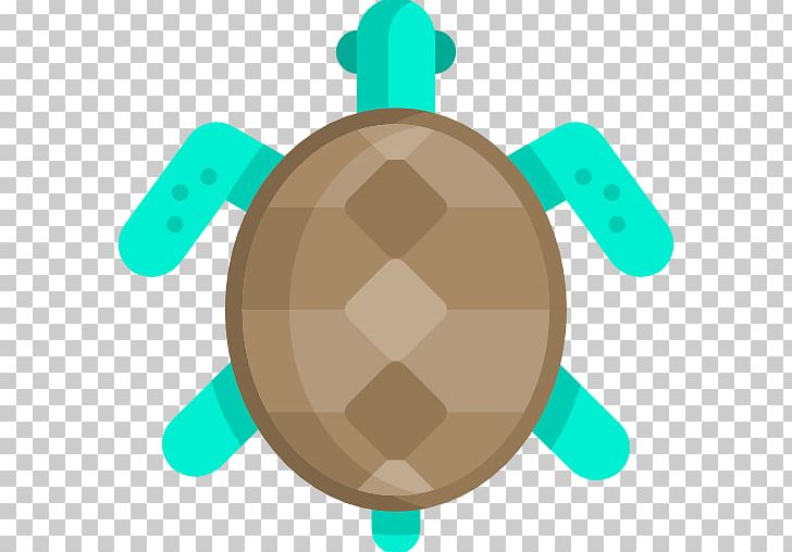 Tortoise Sea Turtle PNG, Clipart, Animals, Circle, Organism, Sea Turtle, Tortoise Free PNG Download