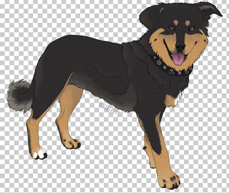 Huntaway Puppy Dog Breed Labrador Retriever Papillon Dog PNG, Clipart, Animals, Art, Art Drawing, Breed, Carnivoran Free PNG Download