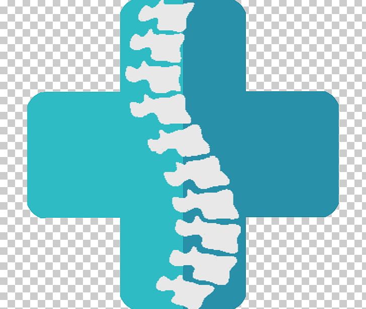 Human Vertebral Column Joint PNG, Clipart, Angle, Back Pain, Bone, Hand, Human Back Free PNG Download