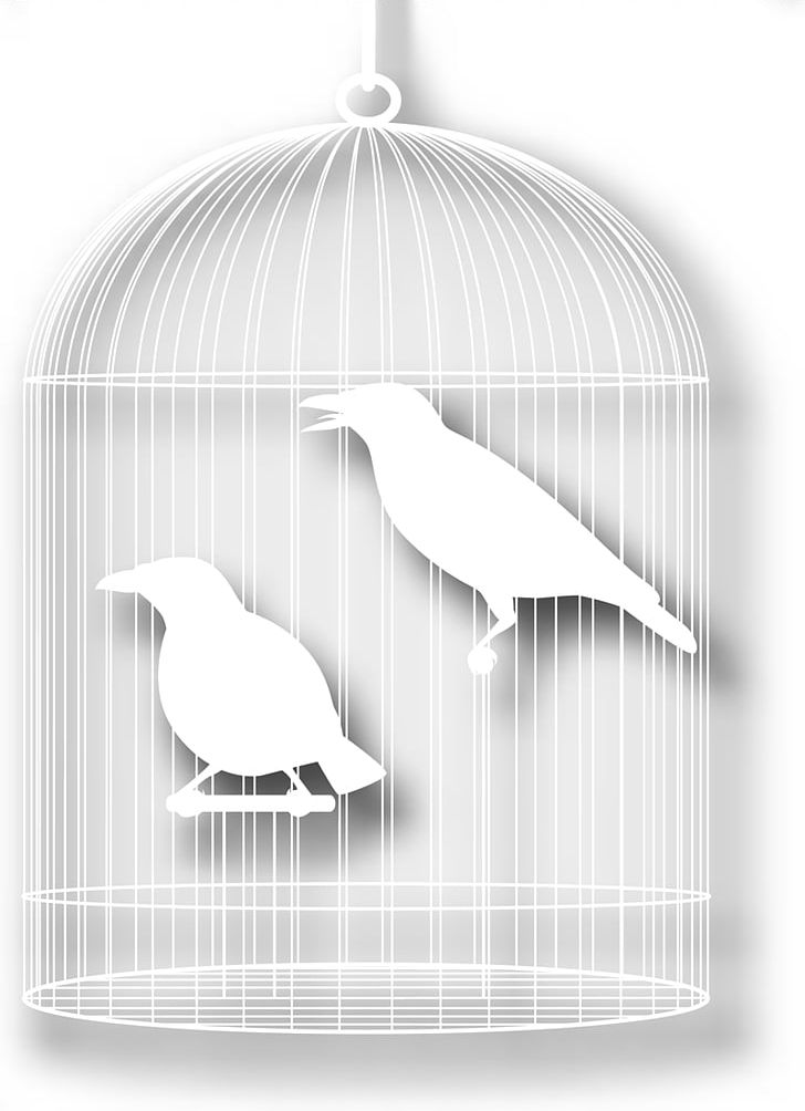 Bird Cartoon Silhouette PNG, Clipart, Animals, Art, Beak, Bird, Bird Cage Free PNG Download