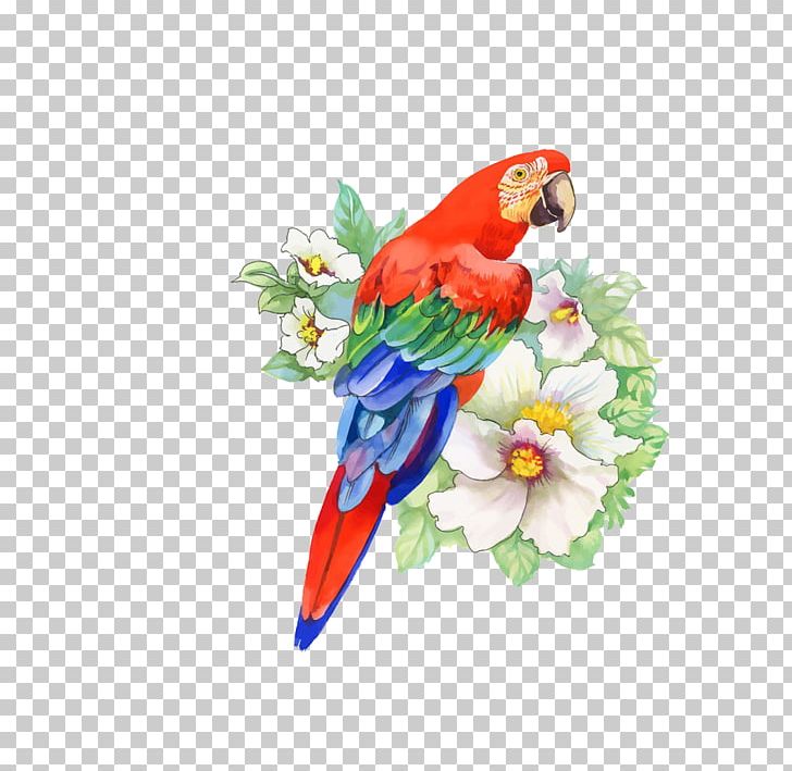 Bird Parrot Flower Drawing PNG, Clipart, Animals, Art, Beak, Birdandflower Painting, Encapsulated Postscript Free PNG Download