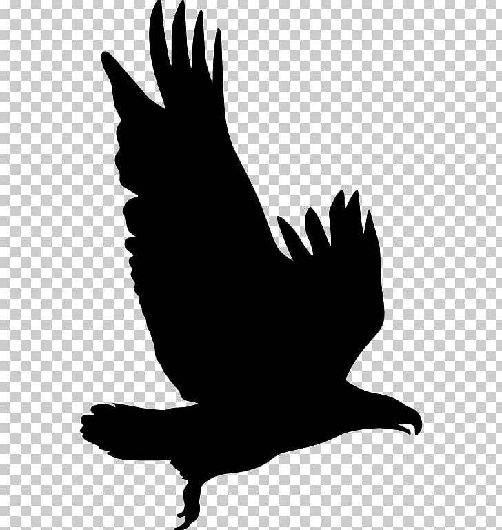 Bird Silhouette Eagle PNG, Clipart, Animal, Animals, Beak, Bird, Black And White Free PNG Download