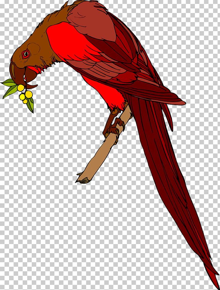 Macaw Beak Feather Wing Loriini PNG, Clipart, Animals, Beak, Bird, Character, Fauna Free PNG Download