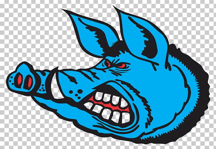 Narrabri Rugby Union Wild Boar Hogs And Pigs PNG, Clipart, Animal, Animals, Area, Art, Artwork Free PNG Download