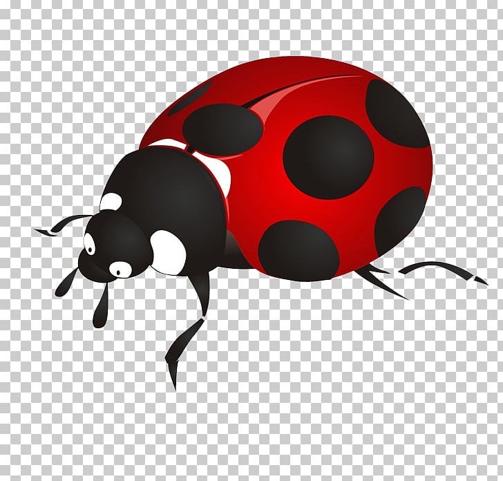 Beetle Ladybird Cartoon PNG, Clipart, Abstrac, Advertising, Animals, Beatles, Beetle Free PNG Download