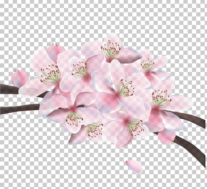 Cherry Blossom PNG, Clipart, Adobe Illustrator, Artificial Flower, Beautiful Vector, Beauty, Cherry Free PNG Download