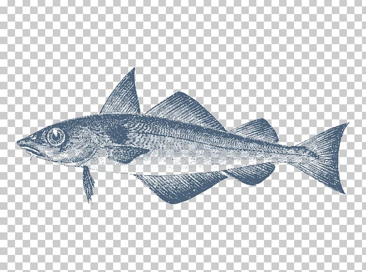 Cod Haddock Sardine Fin Gadidae PNG, Clipart, Alaska Pollock, Animals, Atlantic Cod, Barbel, Bonito Free PNG Download