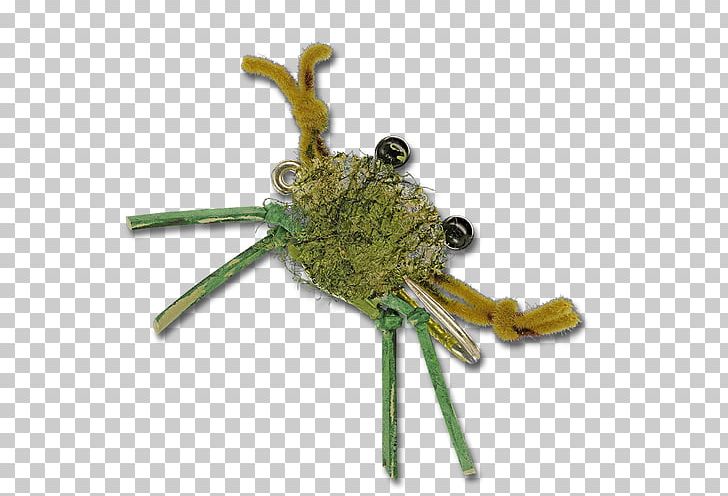 Crab Louse Decapoda Insect Fly PNG, Clipart, Animals, Ballet Flat, Crab, Crab Louse, Crab Stick Free PNG Download