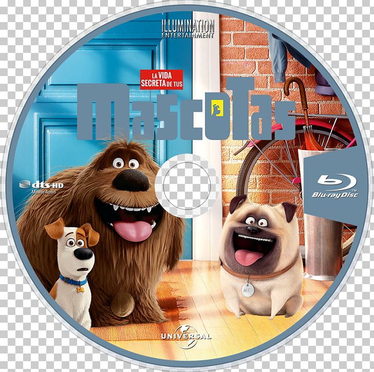Film Pet 0 Market PNG, Clipart, 2016, Bar, Dvd, Film, Market Free PNG Download