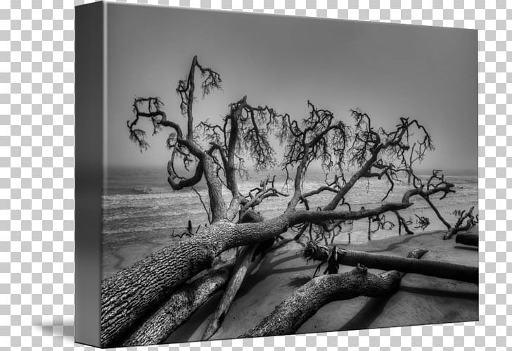 Landscape Photography Black And White Landscape Painting Art PNG, Clipart, Branch, Canvas, Canvas, Drawing, Fallen Tree Free PNG Download