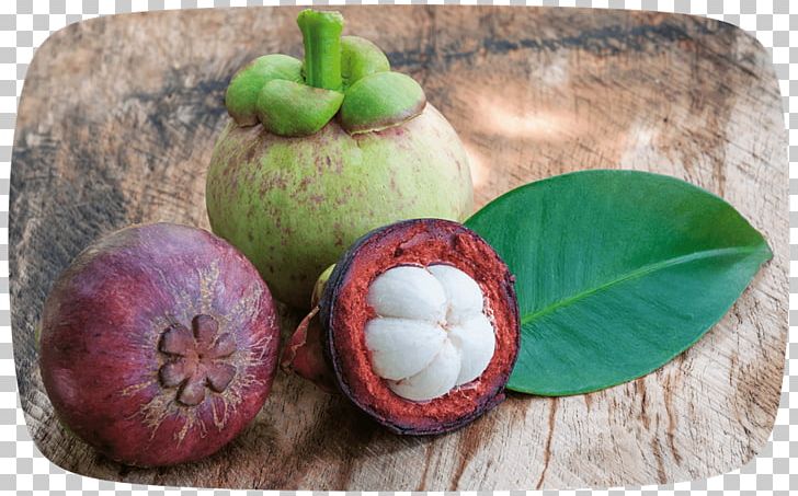 Biofach South East Asia Organic Food Purple Mangosteen PNG, Clipart, 2018, Asia, Biofach, Food, Fruit Free PNG Download