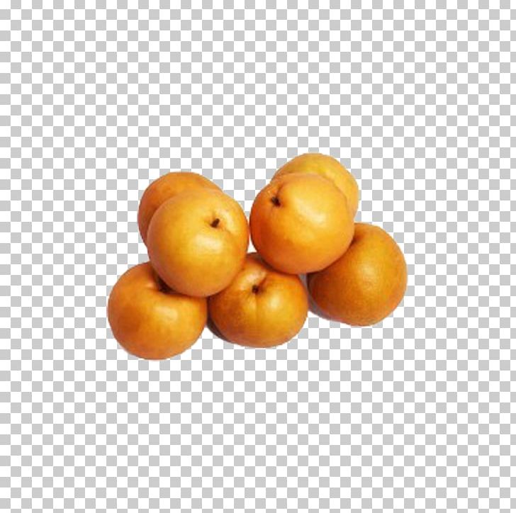 Clementine Icon PNG, Clipart, Adobe Illustrator, Apple Fruit, Apricot, Auglis, Cdr Free PNG Download