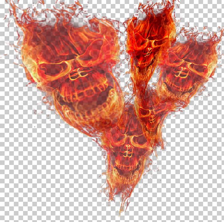 Fire Flame Skull Light PNG, Clipart, Art, Combustion, Computer Wallpaper, Desktop Wallpaper, Drawing Free PNG Download
