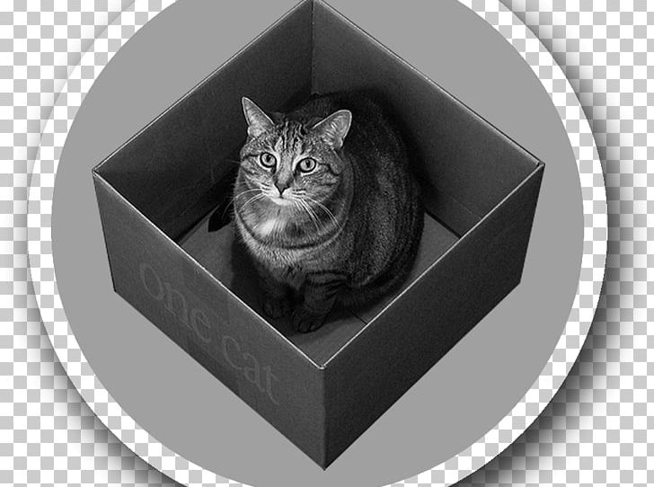 Quantum Mechanics Schrödinger's Cat Physics Particle In A Box PNG, Clipart,  Free PNG Download