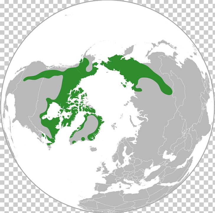 Reykjavik Geography Of Iceland Map Projection Orthographic Projection PNG, Clipart, Country, Distribution, Earth, Geography, Geography Of Iceland Free PNG Download