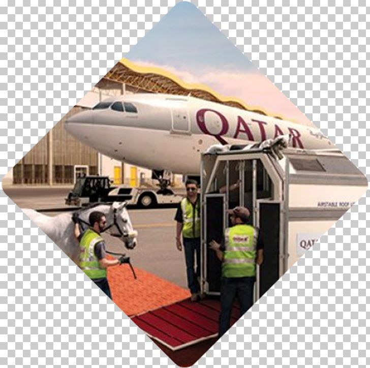 Doha Cargo Airline Transport Air Cargo PNG, Clipart, Aerospace Engineering, Air Cargo, Air Cargo News, Aircraft, Airline Free PNG Download