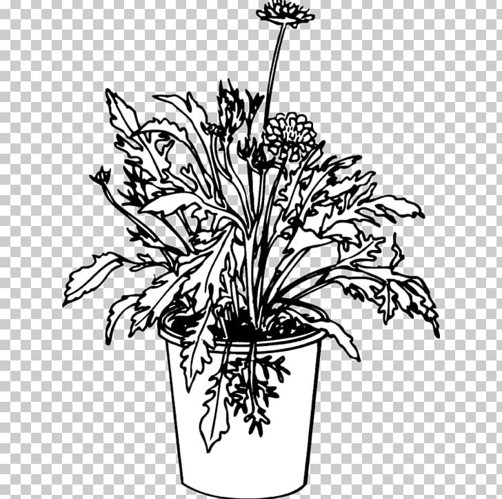 Floral Design Cut Flowers Flowerpot Plant Stem PNG, Clipart, Black And White, Branch, Character, Cut Flowers, Dianthus Free PNG Download