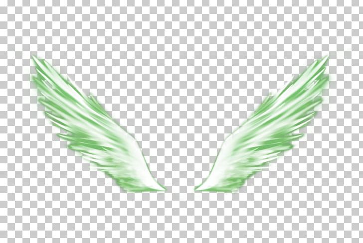Green PNG, Clipart, Angel Wings, Background Green, Chicken Wings, Data Compression, Download Free PNG Download