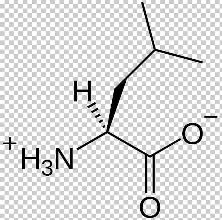 Branched-chain Amino Acid Leucine Chemical Structure Chemical Substance PNG, Clipart, Amino Acid, Angle, Area, Black And White, Branchedchain Amino Acid Free PNG Download