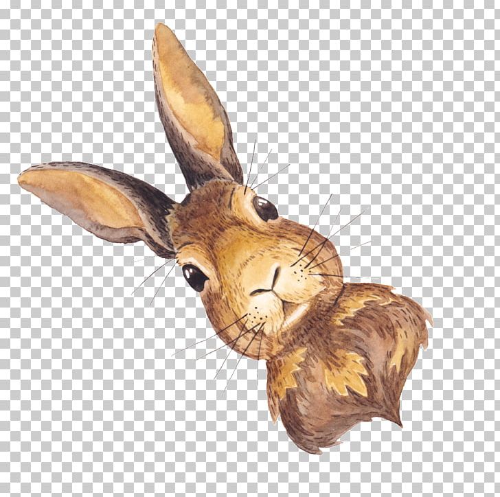 Domestic Rabbit Hare PNG, Clipart, American Legion, Animal, Animals, Cute, Cute Animal Free PNG Download