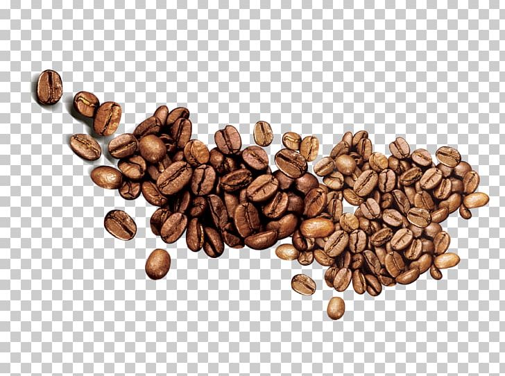 Jamaican Blue Mountain Coffee Food Five Grains Lollipop PNG, Clipart, Bean, Beans, Caffeine, Cereal, Cocoa Bean Free PNG Download