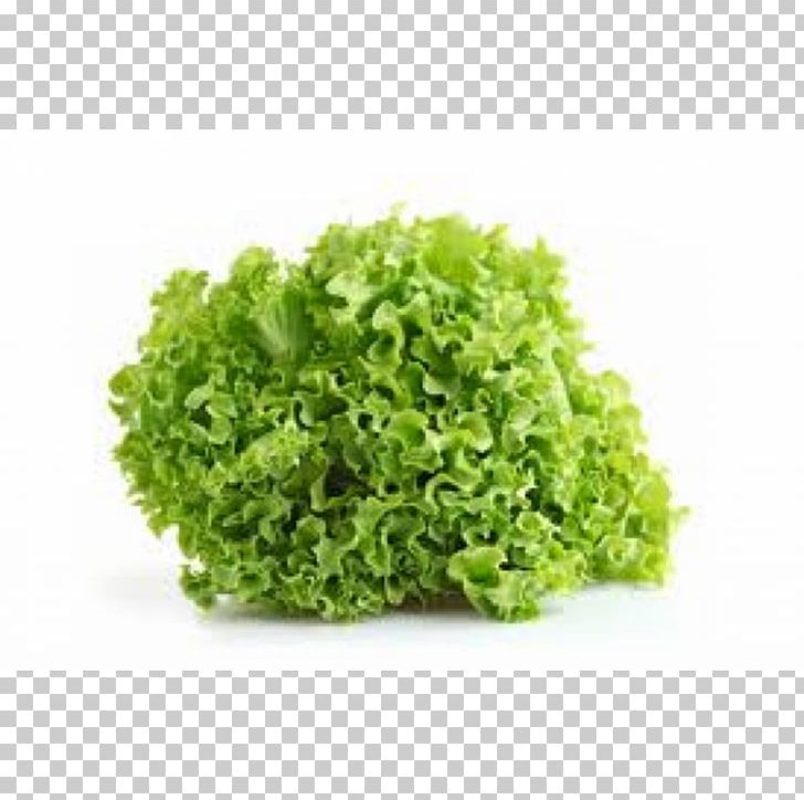 Organic Food Salad Vegetable Herb PNG, Clipart, Armenian Cucumber, Butterhead Lettuce, Cichorium Endivia, Endive, Food Free PNG Download
