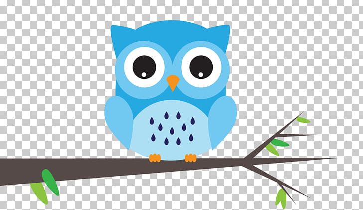 Owl Beak Bird PNG, Clipart, Amos Gilat, Animals, Beak, Bird, Bird Of Prey Free PNG Download