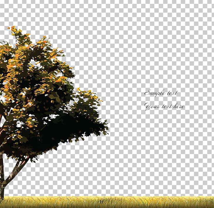 Tree PNG, Clipart, Border, Branch, Cartoon, Computer Wallpaper, Dream Free PNG Download