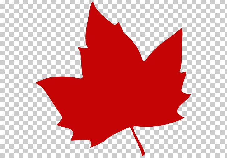 Canada Portable Network Graphics Maple Leaf PNG, Clipart, Canada, Canadian Gold Maple Leaf, Canadian Silver Maple Leaf, Flag Of Canada, Flower Free PNG Download