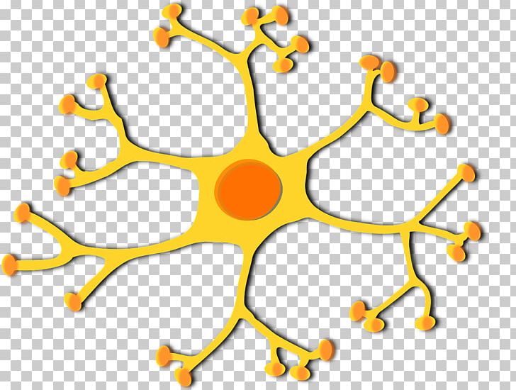 Motor Neuron Cell PNG, Clipart, Area, Biology, Body Jewelry, Brain, Cell Free PNG Download