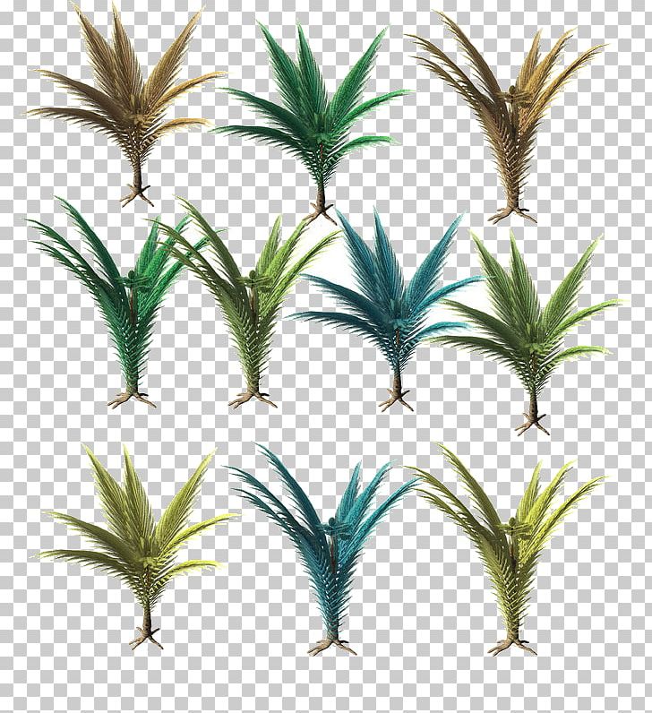 Tree Bonsai Grasses PNG, Clipart, Arecaceae, Arecales, Artificial Grass, Bonsai, Branch Free PNG Download