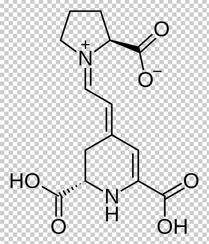 Acetylcysteine Essential Amino Acid Asparagine PNG, Clipart, Amino Acid, Angle, Area, Arginine, Asparagine Free PNG Download