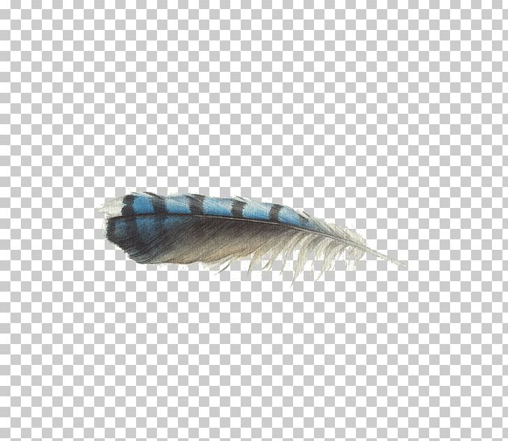 Feather PNG, Clipart, Animals, Blue, Christmas Lights, Feather, Float Free PNG Download