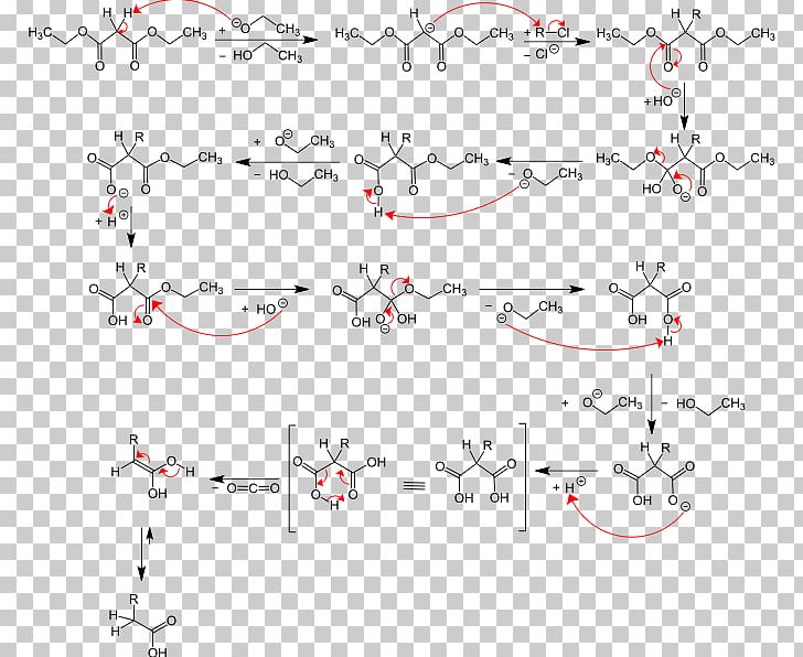Malonic Ester Synthesis Acetoacetic Ester Synthesis Malonic Acid Chemical Reaction PNG, Clipart, Acetoacetic Acid, Acetoacetic Ester Synthesis, Alkylation, Angle, Area Free PNG Download