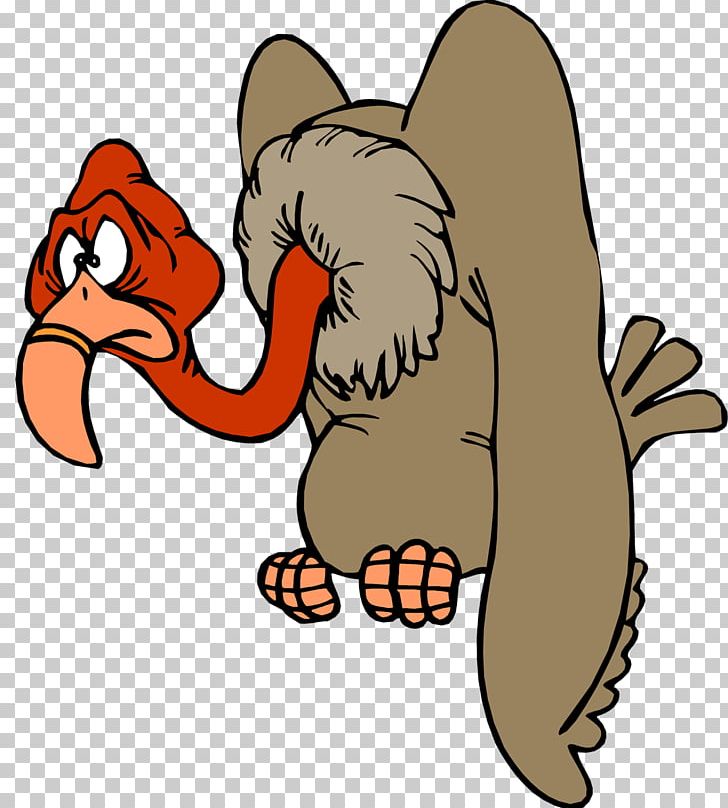 Turkey Vulture Beaky Buzzard PNG, Clipart, Carnivoran, Cartoon, Cat Like Mammal, Claw, Dog Like Mammal Free PNG Download