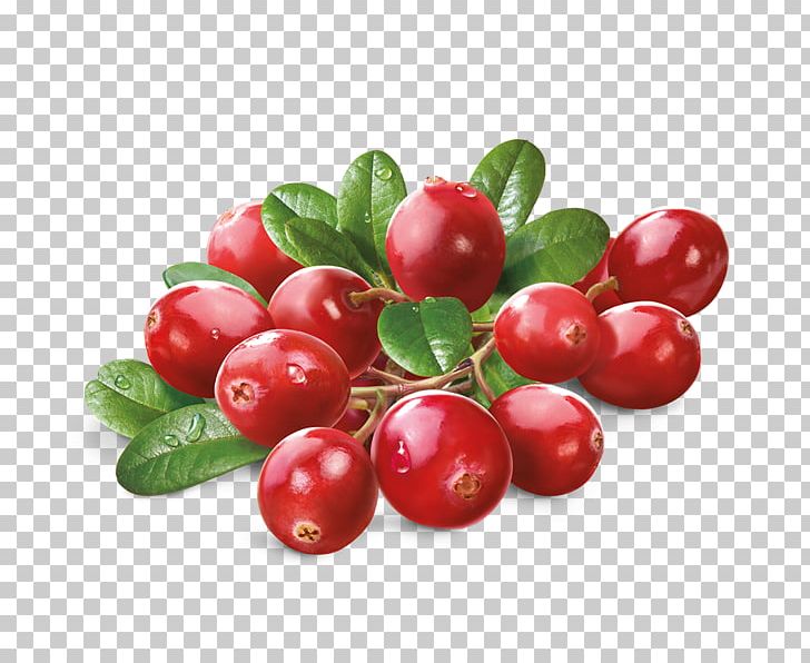 Barbados Cherry Cranberry Superfood Lingonberry Green Tea PNG, Clipart, Acerola, Acerola Family, Antioxidant, Berry, Cherry Free PNG Download