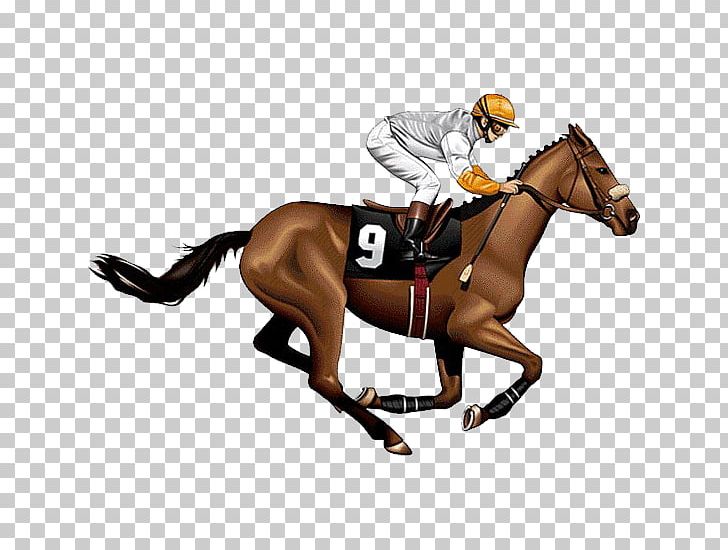 horse racing wallpaper