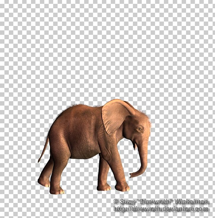 African Elephant Asian Elephant Tusk PNG, Clipart, African Elephant, Animal, Animals, Asian Elephant, Calf Free PNG Download