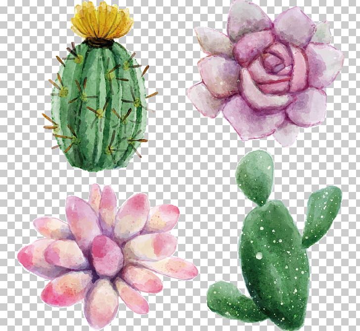 Cactaceae Watercolor Painting Succulent Plant Euclidean Illustration PNG, Clipart, Cactus, Canvas, Caryophyllales, Drawing, Flower Free PNG Download