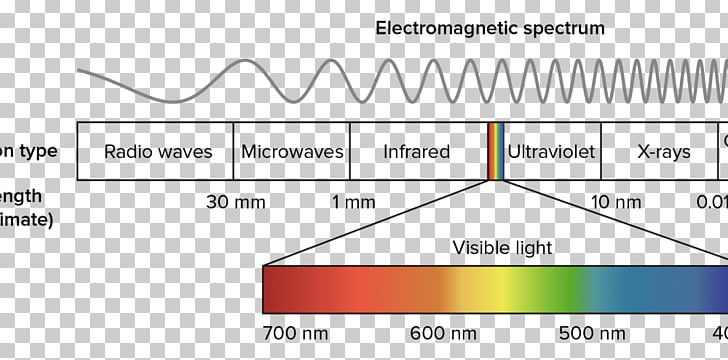 Light Electromagnetic Spectrum Visible Spectrum Electromagnetic Radiation Photosynthetically Active Radiation PNG, Clipart, Angle, Aquariumlighting Of The Seawater, Area, Color, Electromagnetic Radiation Free PNG Download
