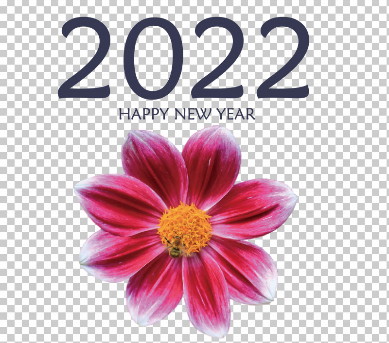 2022 Happy New Year 2022 New Year 2022 PNG, Clipart, Cut Flowers, Dahlia, Floristry, Flower, Flowerpot Free PNG Download