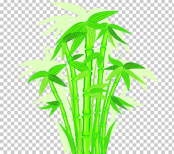 Bamboo Euclidean PNG, Clipart, Cartoon, Cartoon Character, Cartoon Eyes, Encapsulated Postscript, Grass Free PNG Download