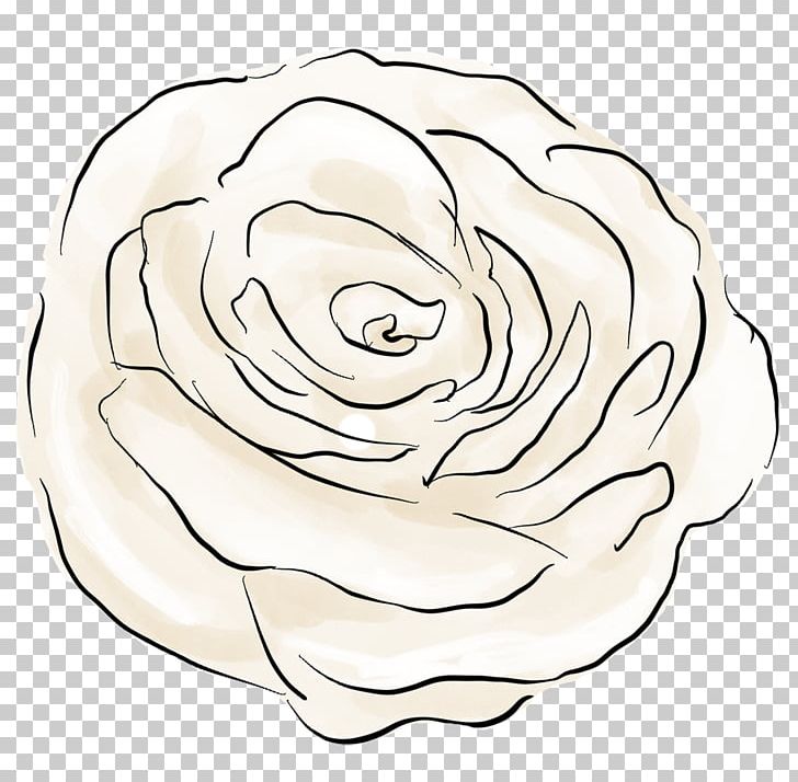 Garden Roses Drawing Floral Design Cut Flowers PNG, Clipart, Area, Art, Artwork, Circle, Cut Flowers Free PNG Download