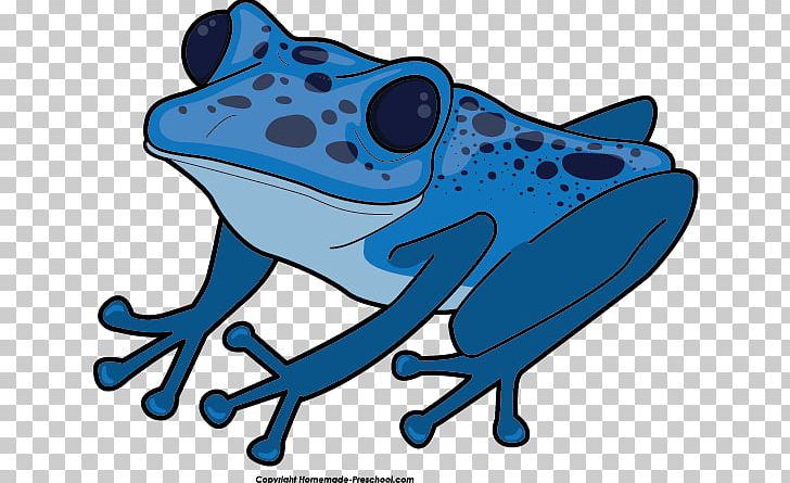 Red-eyed Tree Frog Australian Green Tree Frog PNG, Clipart, American Green Tree Frog, Amphibian, Animals, Artwork, Australian Green Tree Frog Free PNG Download