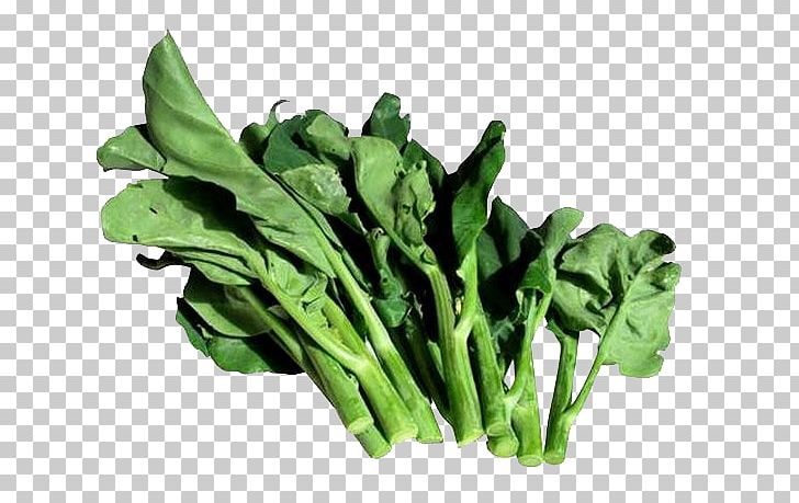 Chinese Broccoli Vegetable Kohlrabi Cauliflower Hot Pot PNG, Clipart, Blanching, Brassica Juncea, Brassica Oleracea, Chard, Chinese Cabbage Free PNG Download