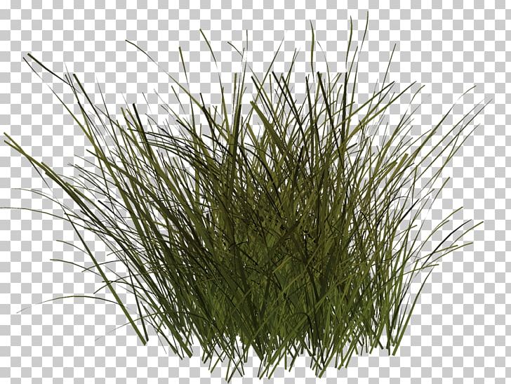 Grass Scene Encapsulated Postscript PNG, Clipart, Adobe Illustrator, Designer, Download, Element, Encapsulated Postscript Free PNG Download