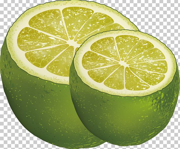 Persian Lime Lemon Key Lime PNG, Clipart, Christmas Decoration, Citric Acid, Citron, Citrus, Decor Free PNG Download