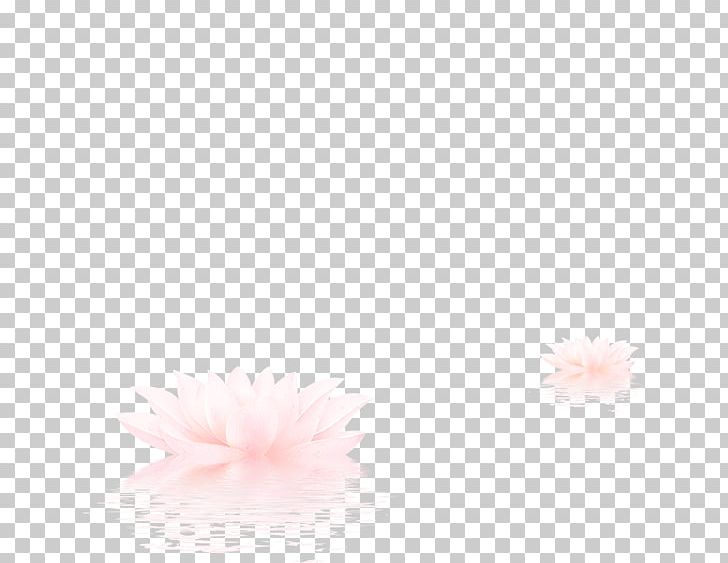 Petal Pattern PNG, Clipart, Flowers, Inverted, Inverted Image, Line, Lotus Free PNG Download