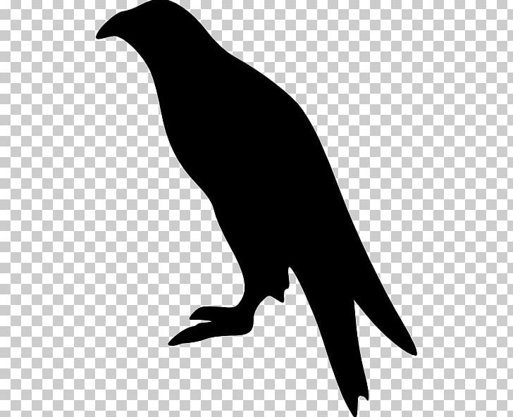 Bald Eagle Silhouette PNG, Clipart, Animal, Artwork, Bald Eagle, Beak, Bird Free PNG Download